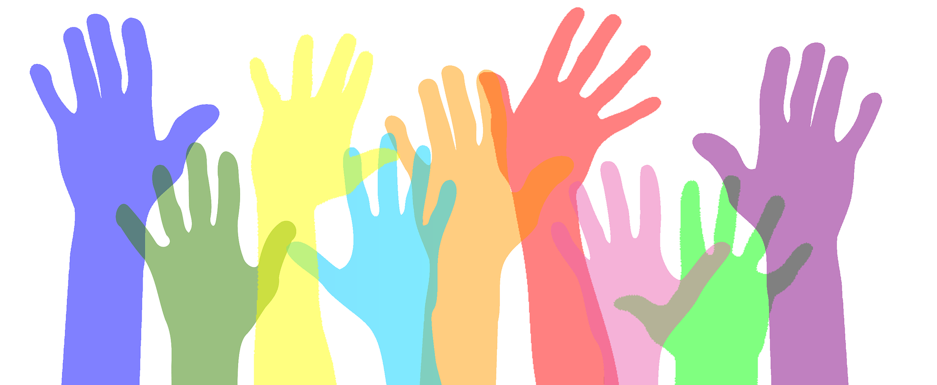 Volunteer - Sant Pau Memory Unit - Alzheimer Research - Barcelona