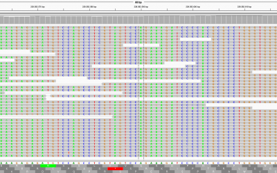 Genetic burden in frontotemporal dementia and amyotrophic lateral sclerosis