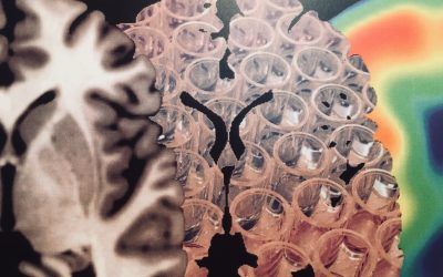 Eduard Vilaplana defends his Doctoral Thesis