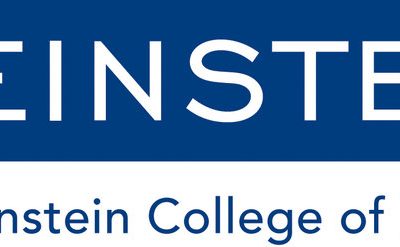 Laura Cervera has been awarded a fellowship to visit the Albert Einstein College of Medicine