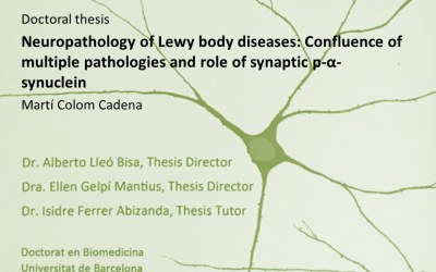 Martí Colom-Cadena receives the Doctoral Thesis Extraordinary Award