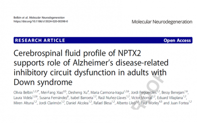 NPTX2: a new biomarker of neuronal dysfunction in adults with Down syndrome