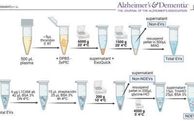 proNGF en vesícules extracel·lulars neuronals: empremta precoç de l’Alzheimer en la síndrome de Down