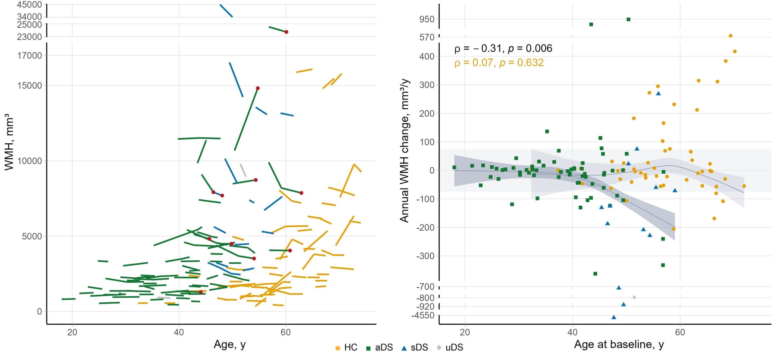 Temporal dynamics white hyperintensities Down Syndrome - Sant Pau Memory Unit - Alzheimer - Barcelona